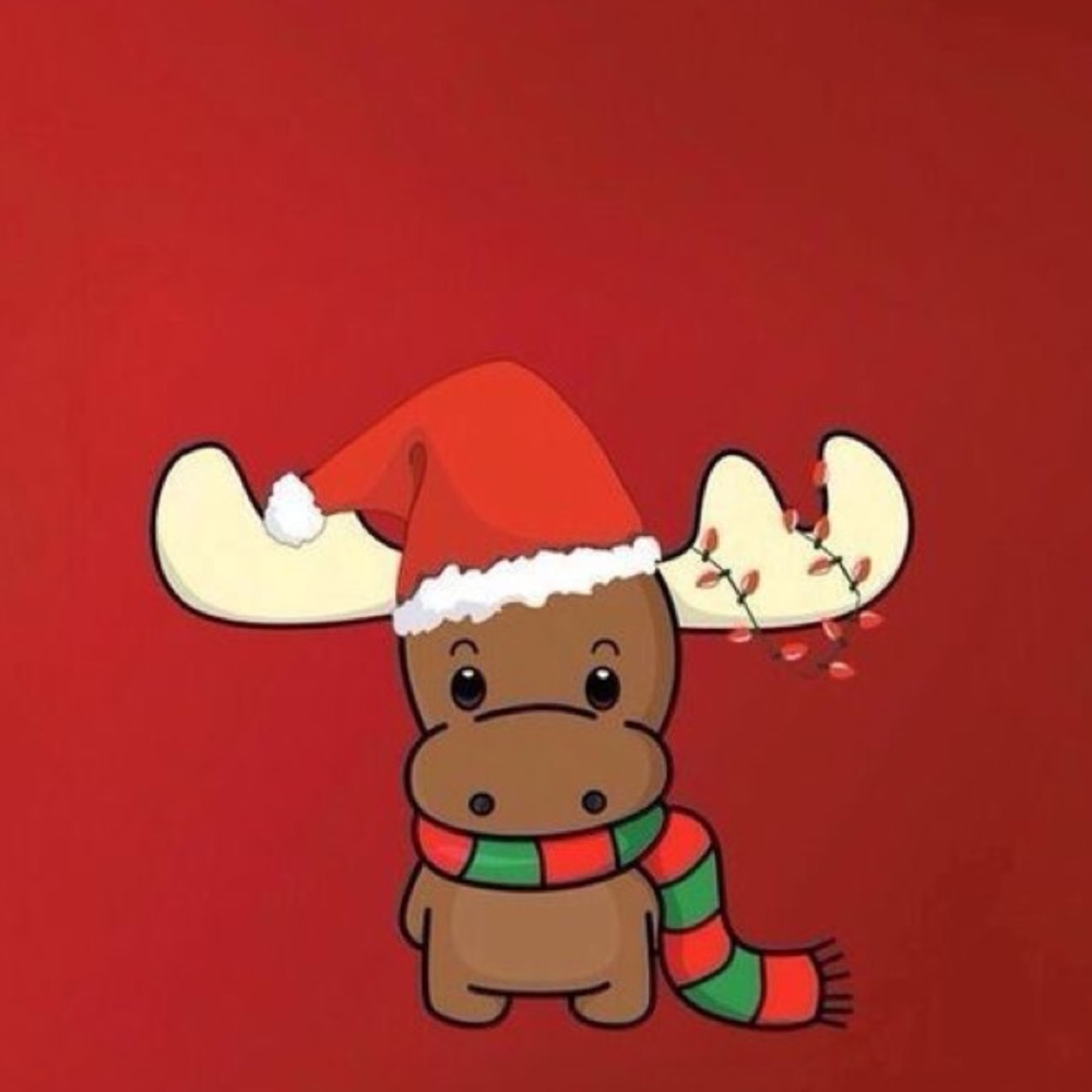 Meet your Posher, Jozelynn